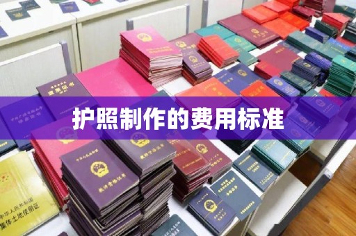 开阳护照制作的费用标准